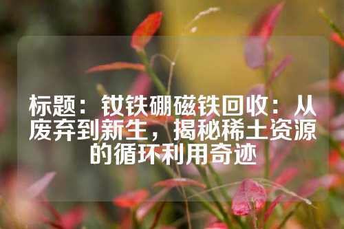 標(biāo)題:釹鐵硼磁鐵回收:從廢棄到新生,揭秘稀土資源的循環(huán)利用奇跡