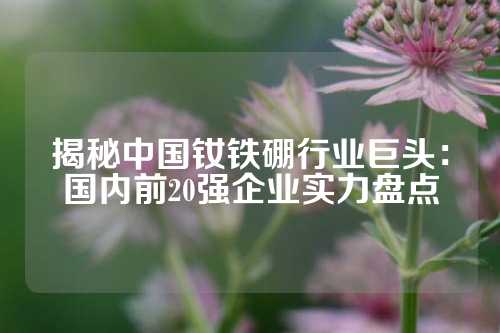 揭秘中國釹鐵硼行業(yè)巨頭:國內(nèi)前20強企業(yè)實力盤點