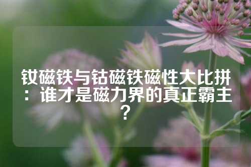 釹磁鐵與鈷磁鐵磁性大比拼:誰才是磁力界的真正霸主?