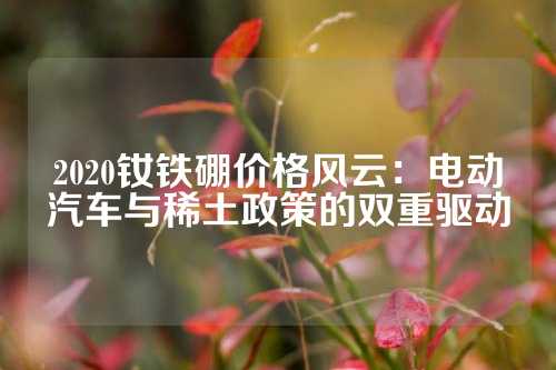 2020釹鐵硼價格風(fēng)云:電動汽車與稀土政策的雙重驅(qū)動