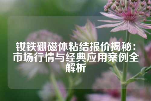 釹鐵硼磁體粘結(jié)報(bào)價(jià)揭秘:市場(chǎng)行情與經(jīng)典應(yīng)用案例全解析