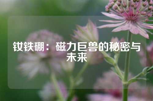 釹鐵硼:磁力巨獸的秘密與未來