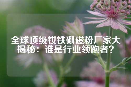 全球頂級釹鐵硼磁粉廠家大揭秘:誰是行業(yè)領(lǐng)跑者?