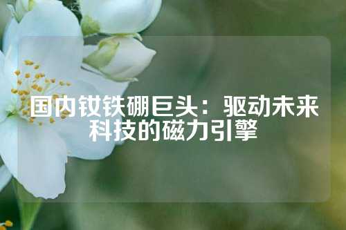 國(guó)內(nèi)釹鐵硼巨頭:驅(qū)動(dòng)未來(lái)科技的磁力引擎