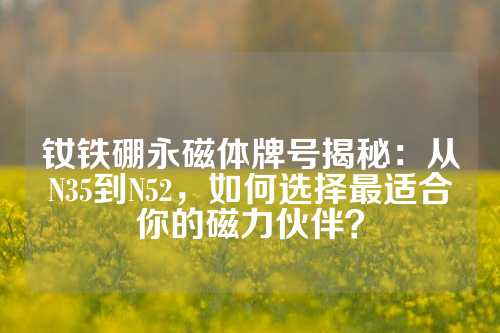 釹鐵硼永磁體牌號揭秘:從N35到N52,如何選擇最適合你的磁力伙伴?