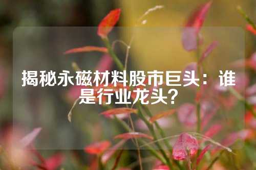 揭秘永磁材料股市巨頭:誰是行業(yè)龍頭?