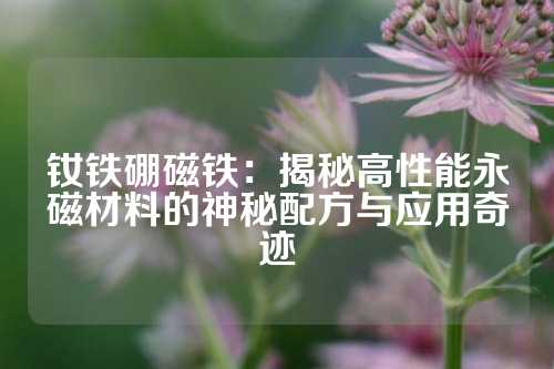 釹鐵硼磁鐵:揭秘高性能永磁材料的神秘配方與應(yīng)用奇跡