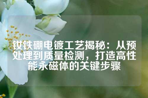 釹鐵硼電鍍工藝揭秘:從預(yù)處理到質(zhì)量檢測,打造高性能永磁體的關(guān)鍵步驟