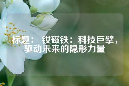 標(biāo)題: 釹磁鐵:科技巨擘,驅(qū)動未來的隱形力量