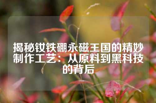 揭秘釹鐵硼永磁王國的精妙制作工藝:從原料到黑科技的背后