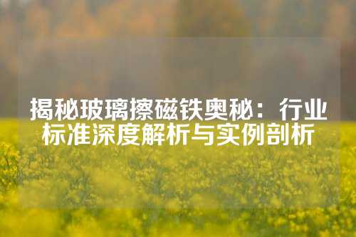 揭秘玻璃擦磁鐵奧秘:行業(yè)標(biāo)準(zhǔn)深度解析與實(shí)例剖析