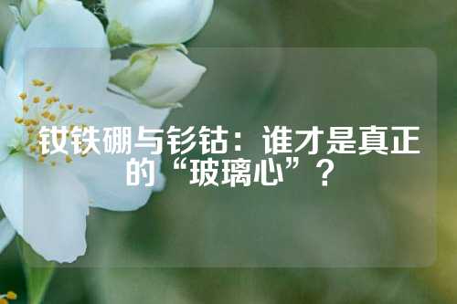 釹鐵硼與釤鈷:誰才是真正的“玻璃心”?