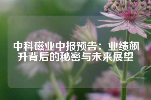 中科磁業(yè)中報(bào)預(yù)告：業(yè)績飆升背后的秘密與未來展望
