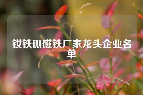釹鐵硼磁鐵廠家龍頭企業(yè)名單