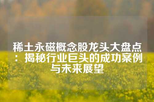 稀土永磁概念股龍頭大盤點(diǎn):揭秘行業(yè)巨頭的成功案例與未來展望