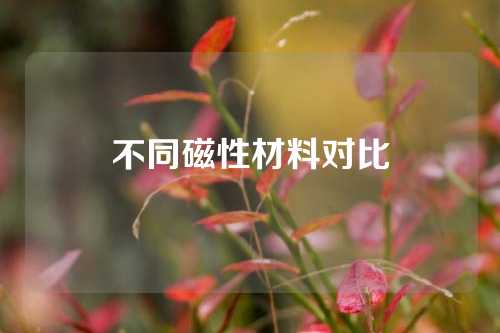 不同磁性材料對比