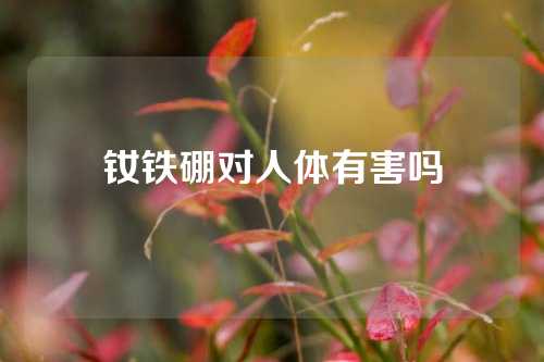 釹鐵硼對人體有害嗎