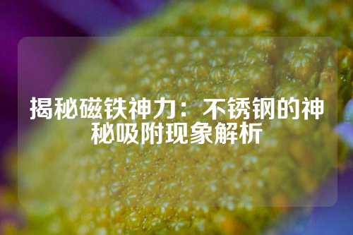 揭秘磁鐵神力：不銹鋼的神秘吸附現(xiàn)象解析