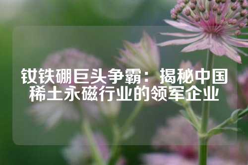 釹鐵硼巨頭爭霸:揭秘中國稀土永磁行業(yè)的領(lǐng)軍企業(yè)