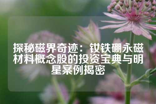 探秘磁界奇跡：釹鐵硼永磁材料概念股的投資寶典與明星案例揭密