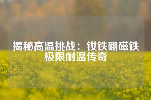 揭秘高溫挑戰(zhàn)：釹鐵硼磁鐵極限耐溫傳奇