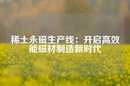 稀土永磁生產(chǎn)線:開(kāi)啟高效能磁材制造新時(shí)代
