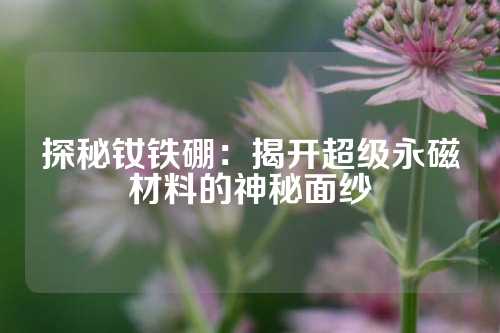 探秘釹鐵硼：揭開(kāi)超級(jí)永磁材料的神秘面紗
