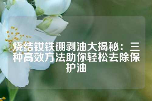 燒結(jié)釹鐵硼剝油大揭秘:三種高效方法助你輕松去除保護油