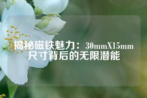 揭秘磁鐵魅力:30mmX15mm尺寸背后的無限潛能