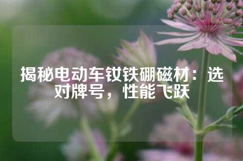 揭秘電動車釹鐵硼磁材：選對牌號，性能飛躍