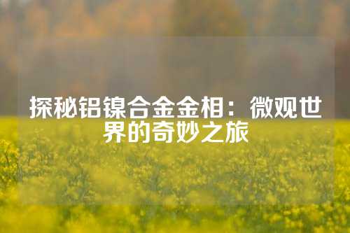 探秘鋁鎳合金金相：微觀世界的奇妙之旅