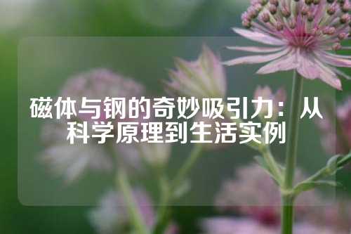 磁體與鋼的奇妙吸引力：從科學(xué)原理到生活實例