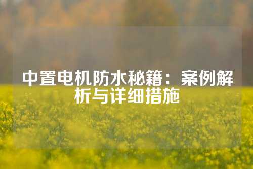 中置電機(jī)防水秘籍：案例解析與詳細(xì)措施
