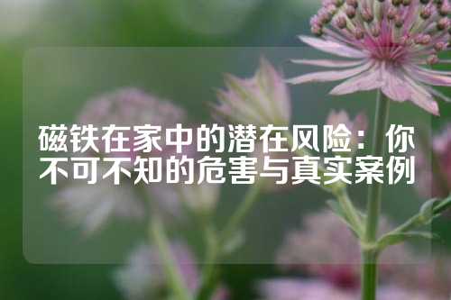 磁鐵在家中的潛在風(fēng)險(xiǎn)：你不可不知的危害與真實(shí)案例