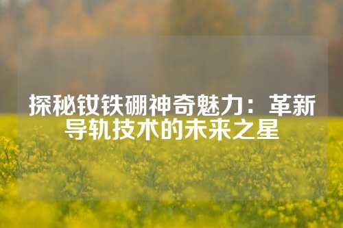 探秘釹鐵硼神奇魅力：革新導(dǎo)軌技術(shù)的未來之星