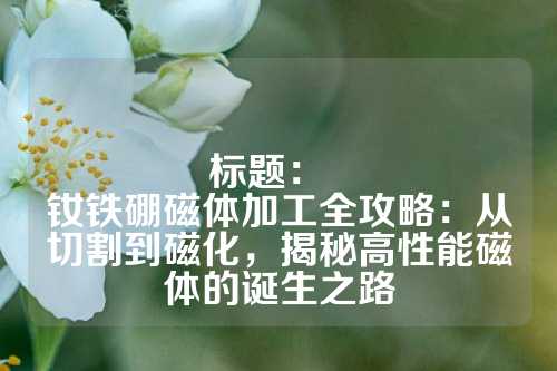 標題：  
釹鐵硼磁體加工全攻略：從切割到磁化，揭秘高性能磁體的誕生之路
