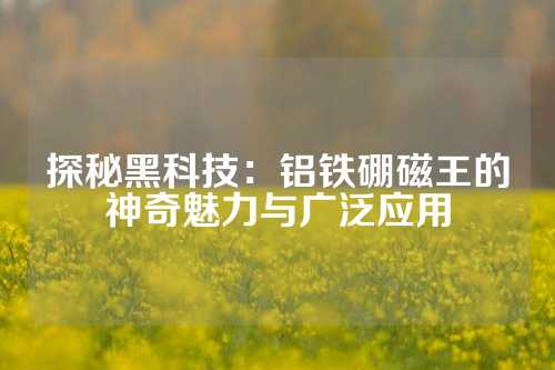 探秘黑科技：鋁鐵硼磁王的神奇魅力與廣泛應(yīng)用