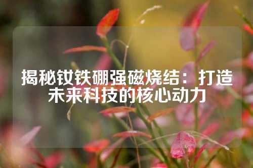 揭秘釹鐵硼強磁燒結：打造未來科技的核心動力