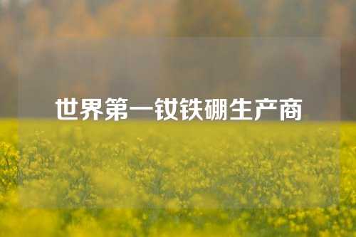 世界第一釹鐵硼生產(chǎn)商