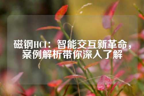 磁鋼HCI：智能交互新革命，案例解析帶你深入了解