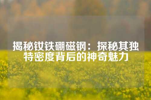 揭秘釹鐵硼磁鋼：探秘其獨(dú)特密度背后的神奇魅力