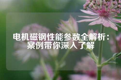 電機磁鋼性能參數(shù)全解析：案例帶你深入了解