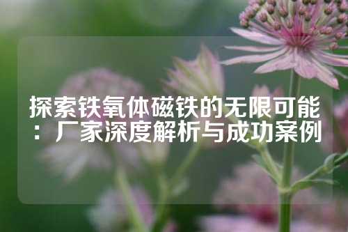 探索鐵氧體磁鐵的無限可能：廠家深度解析與成功案例