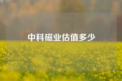 中科磁業(yè)估值多少