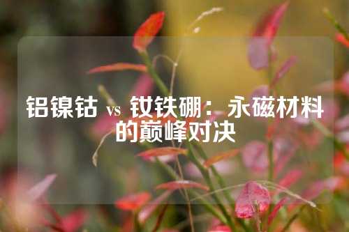 鋁鎳鈷 vs 釹鐵硼:永磁材料的巔峰對決