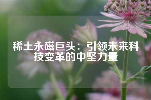 稀土永磁巨頭：引領(lǐng)未來(lái)科技變革的中堅(jiān)力量