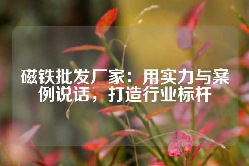 磁鐵批發(fā)廠家:用實(shí)力與案例說(shuō)話,打造行業(yè)標(biāo)桿