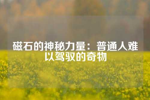 磁石的神秘力量：普通人難以駕馭的奇物