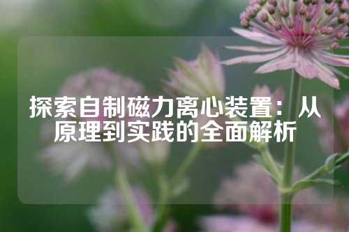 探索自制磁力離心裝置:從原理到實(shí)踐的全面解析