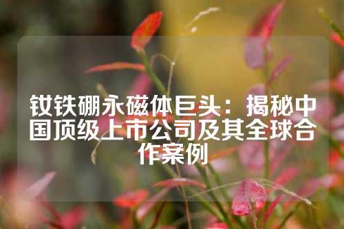 釹鐵硼永磁體巨頭:揭秘中國(guó)頂級(jí)上市公司及其全球合作案例